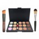 Ucanbe 15 Color Concealer Palette Cream Contour Kit With Pro Foundation Concealer Face Contouring Powder Makeup Brushes