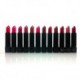 Princessa Aloe Lipsticks Set - 12 couleurs à la mode / Long Lasting
