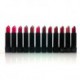 Princessa Aloe Lipsticks Set - 12 Fashionable Colors/ Long Lasting