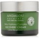 Andalou Naturals Clear Overnight Recovery Cream, 1.7 Ounce