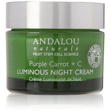 Andalou Naturals Violet Carrot Plus C Luminous Night Cream, 1.7 Ounce